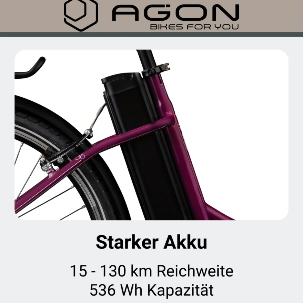 Agon Axis E-Bike 26 Zoll Citybike Damen Herren 140 - 165 cm Pedelec mit Nabenmotor Fahrrad 3 Gang und Beleuchtung StVZO