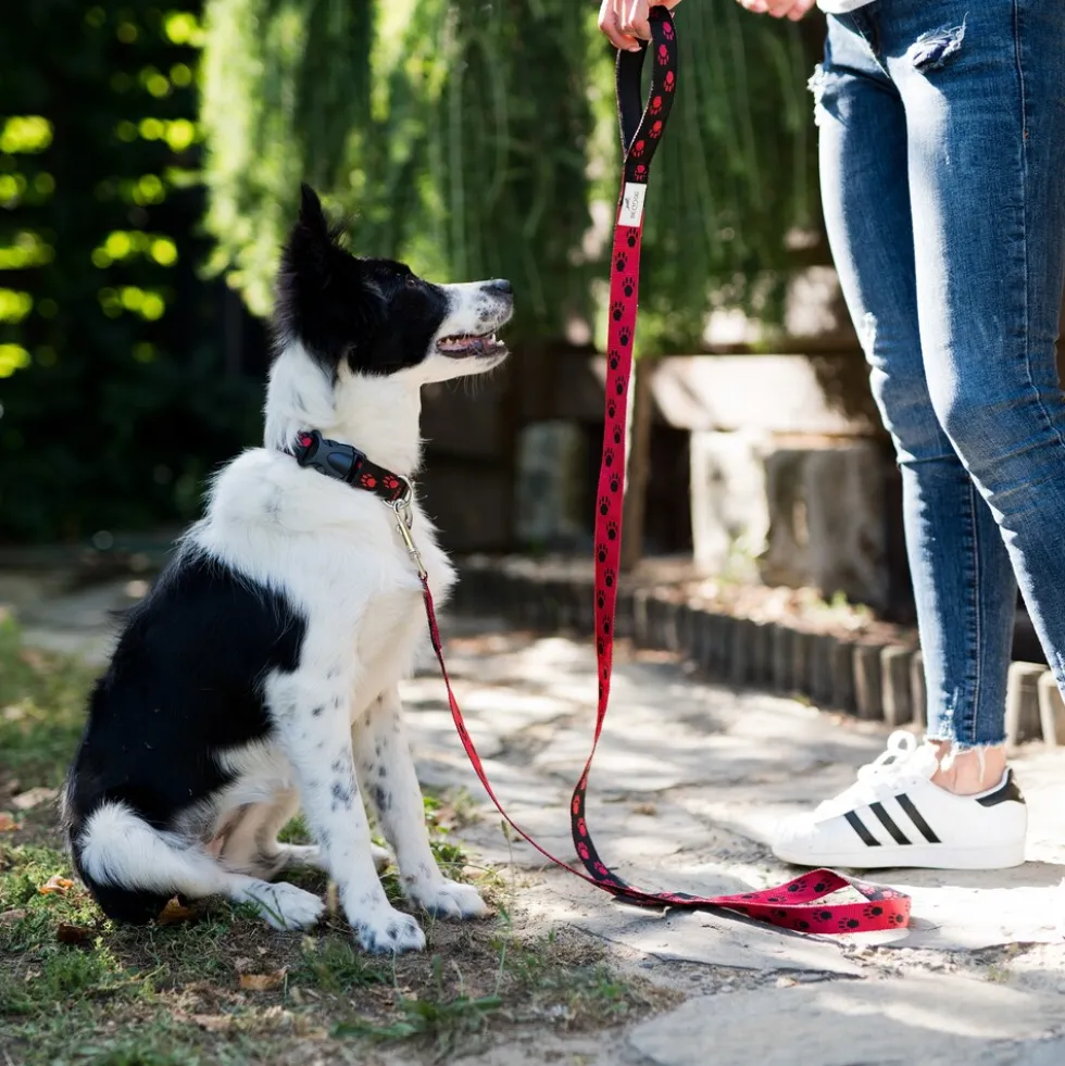 BedDog Hundeleine EMMA Führ-Leine Leine kleine und mittelgroße Hunde