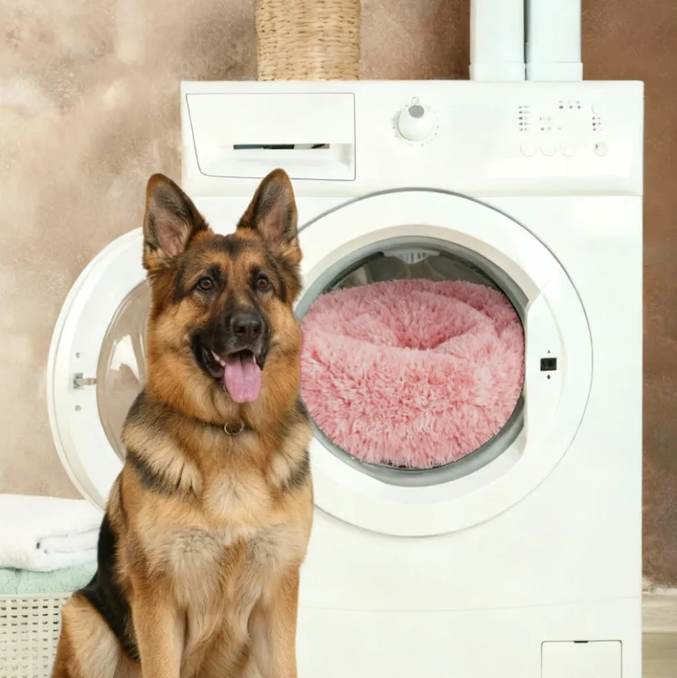 BENNO® Hundebett BALU Donut 50x50x16 cm, waschbar, rutschfest, Polyester, Polypropylen-Füllung, inkl. Kauknochen