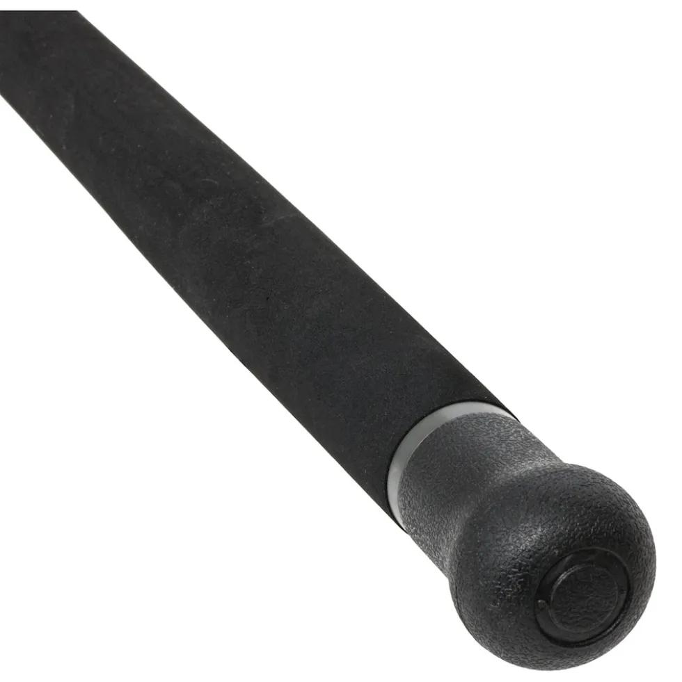 Black Cat Blade 2,65m 30Lbs Wels-Allroundrute