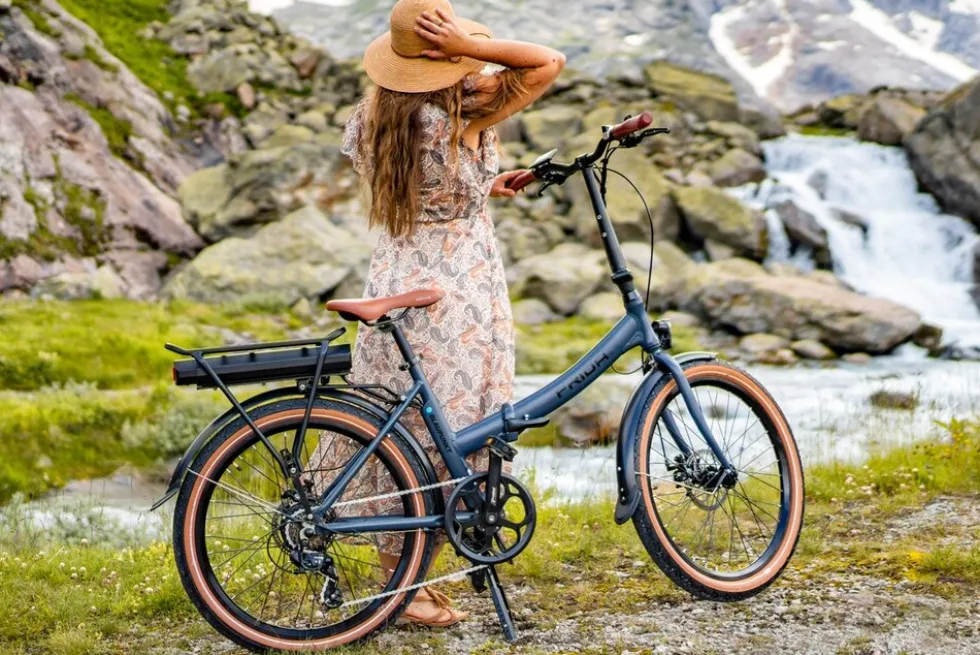 Blaupunkt FALT-E-BIKE FRIDA