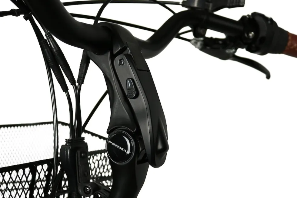 Blaupunkt MINNA Falt E-Trike Tiefeinsteiger