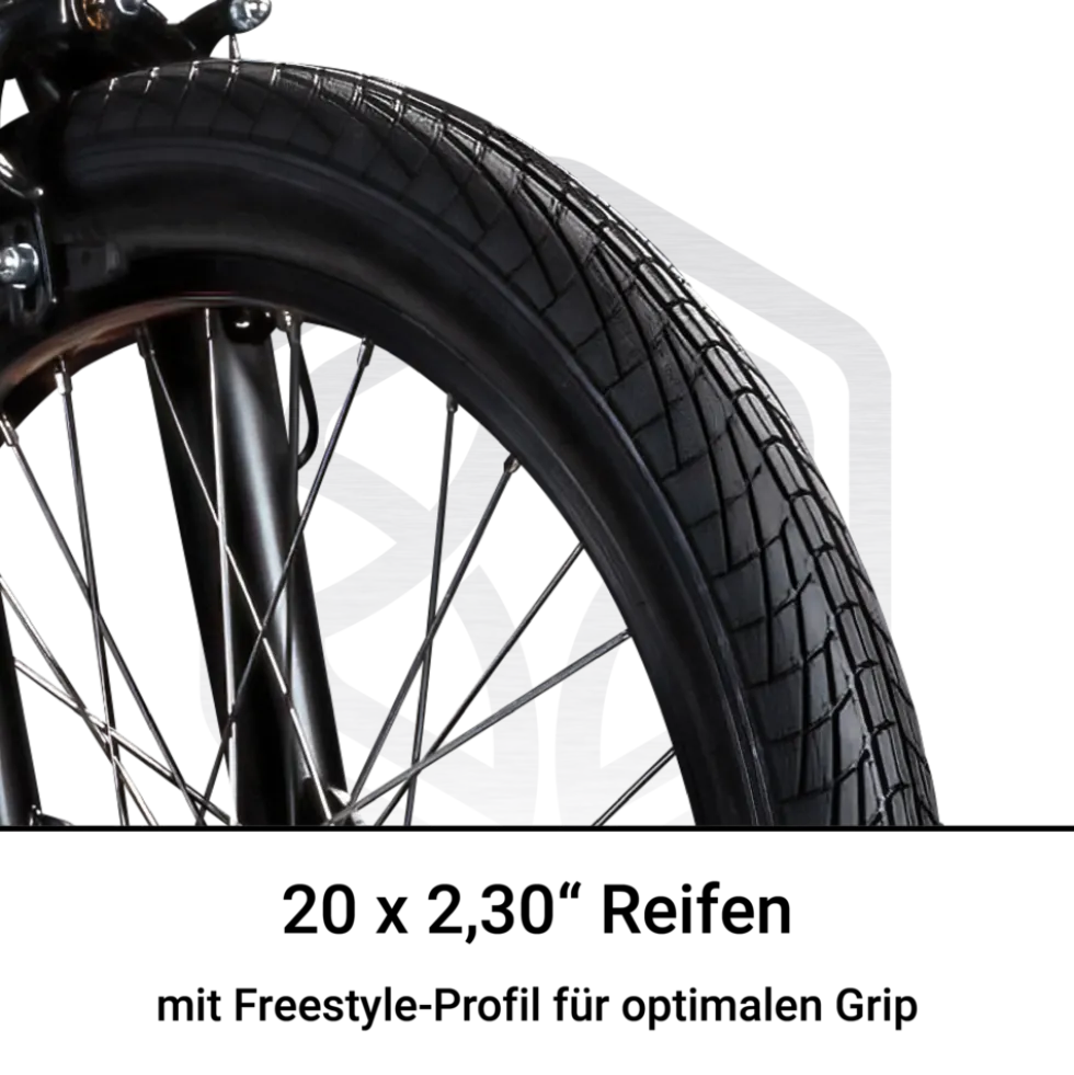 Bullseye Project 301 BMX 20 Zoll Bike Fahrrad 2 Pegs 360° Rotor Freestyle 20 Rad Jugendliche Erwachsene unisex für Tricks