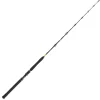 Daiwa BG Big Game 1.68m 20-30lbs Bootsrute