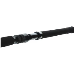 Daiwa BG Big Game 1.68m 20-30lbs Bootsrute