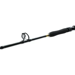 Daiwa BG Big Game 1.68m 20-30lbs Bootsrute
