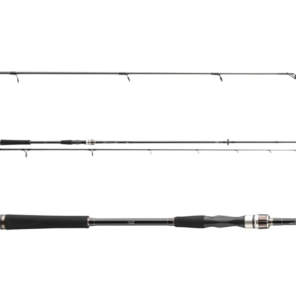 Daiwa Exceler Spin 3.00m 15-50g Spinnrute