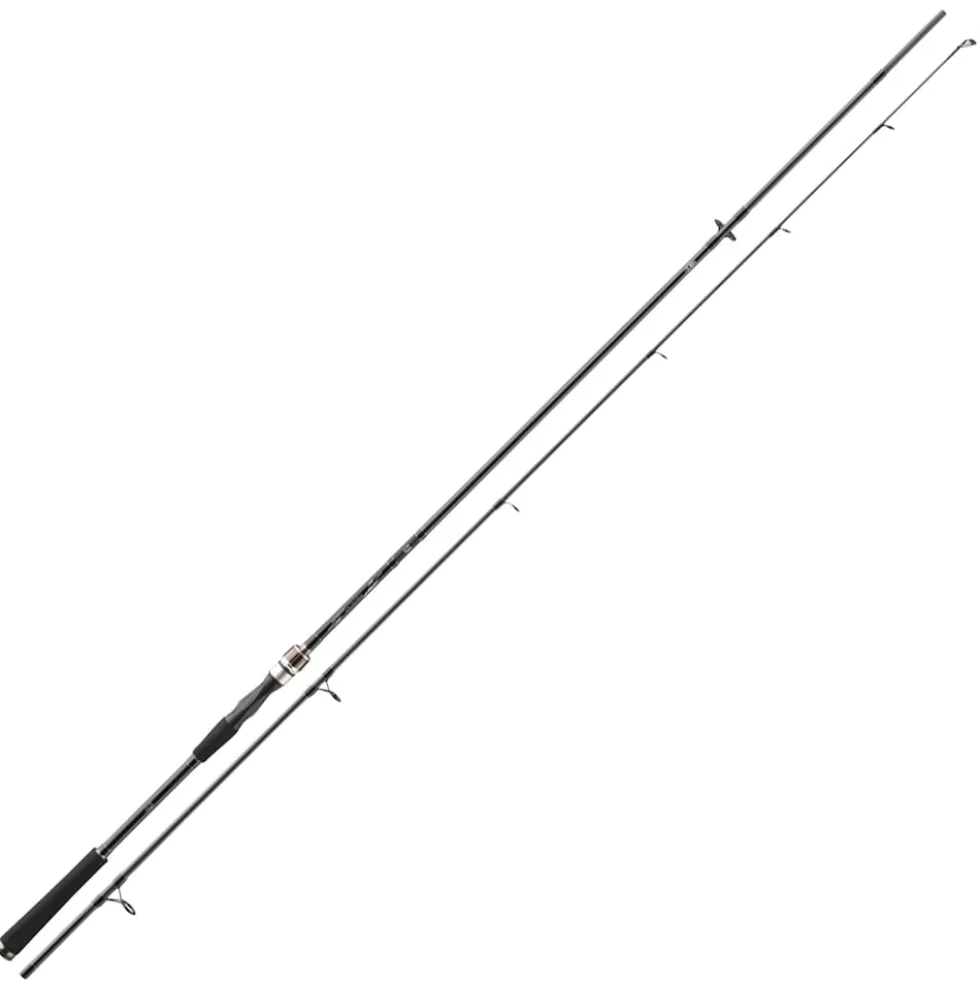 Daiwa Exceler Spin 3.00m 15-50g Spinnrute