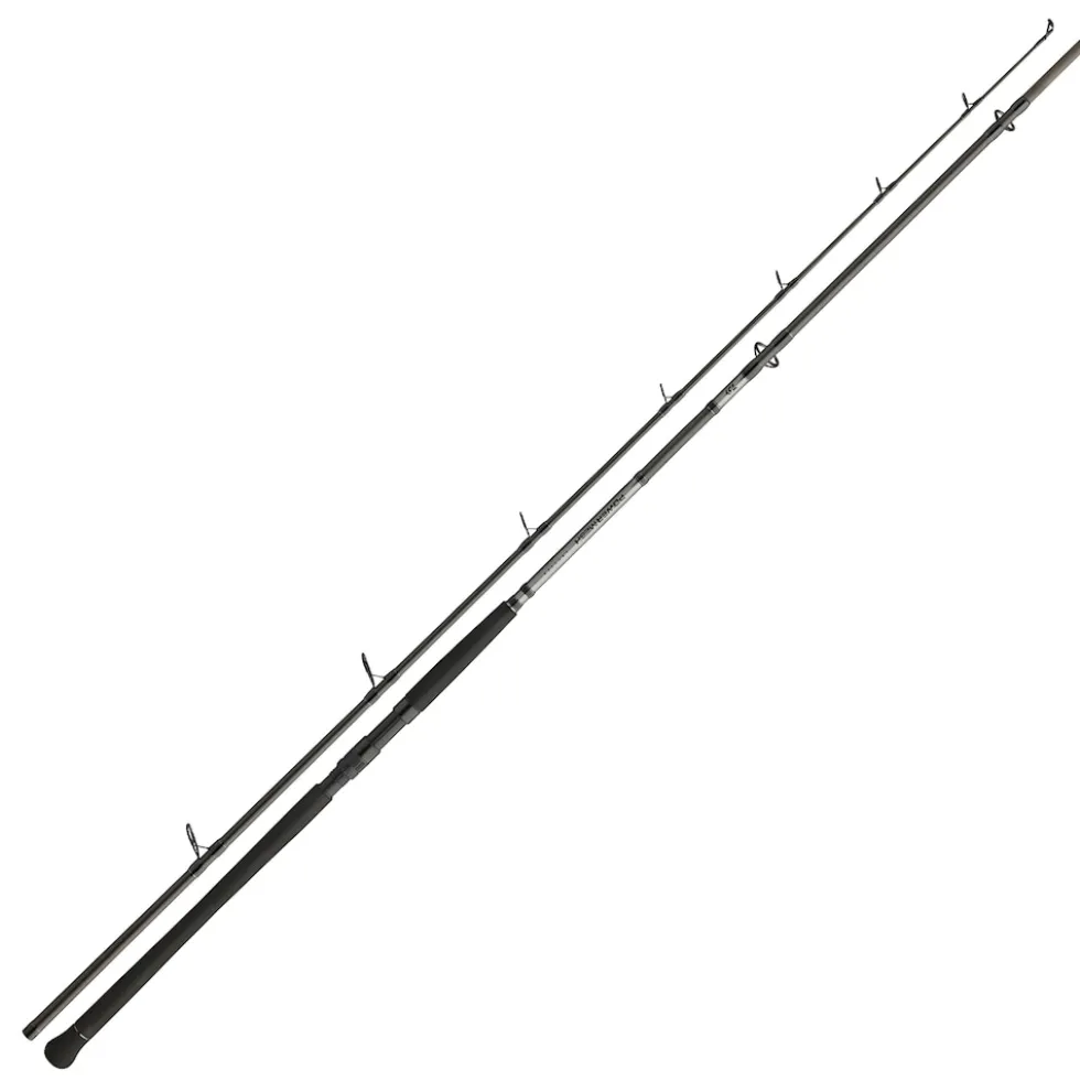 Daiwa Powermesh CF Spin 2,40m 135g Wels-Spinnrute