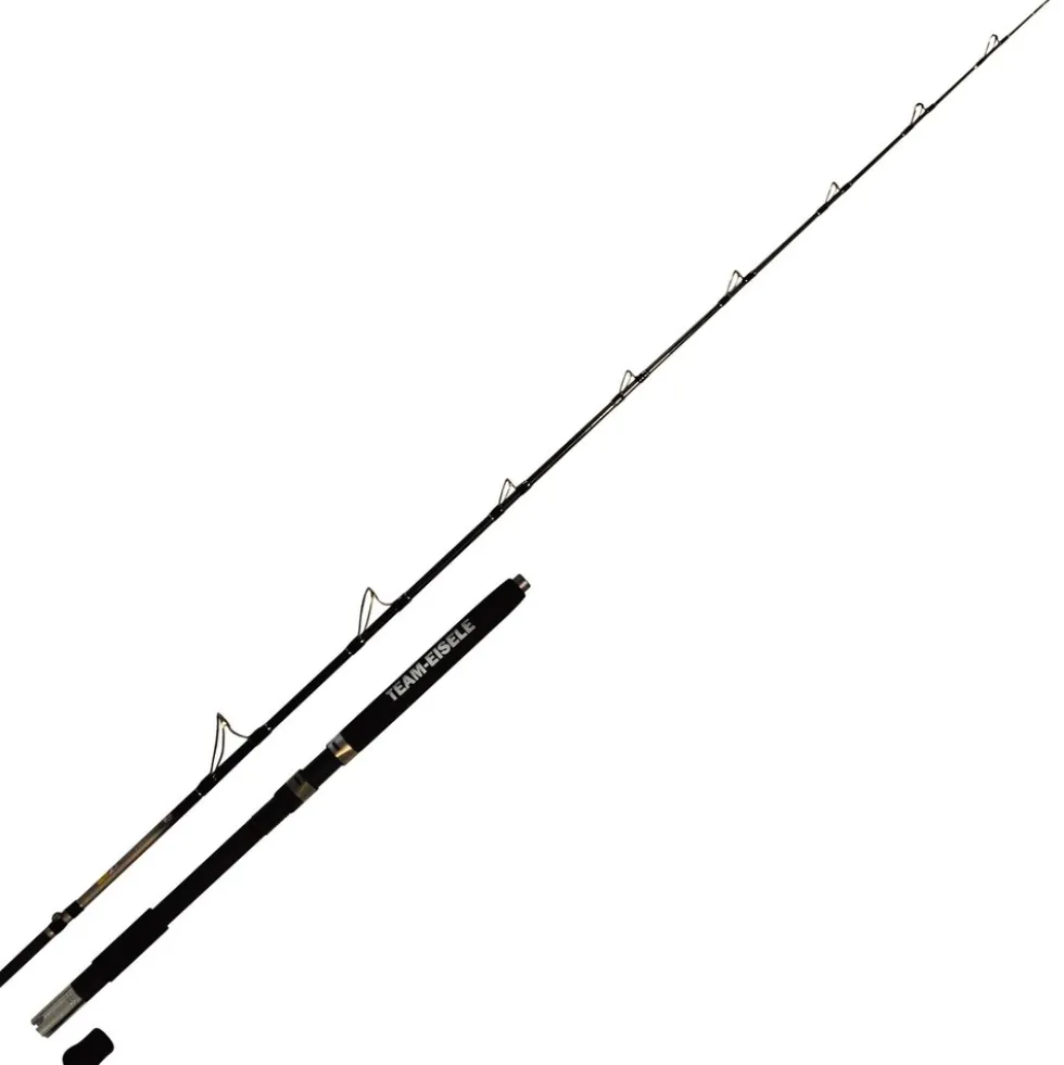 Dieter Eisele Norge Challenger Rute 2,10m 30lb Norwegenrute Meeresrute