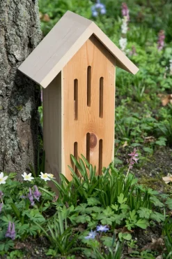 dobar Design-Schmetterlingshaus 