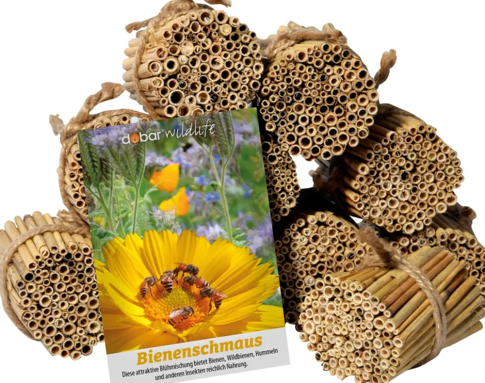 dobar green label Schilfrohrhalme-Set plus Samenmischung "Bienenschmaus"
