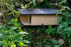 dobar Nistkasten für Bachstelzen