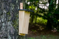 dobar Nistkasten für Baumläufer aus Holz
