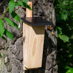 dobar Nistkasten für Baumläufer aus Holz