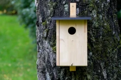 dobar Nistkasten für Stare aus Holz