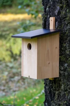 dobar Nistkasten für Stare aus Holz