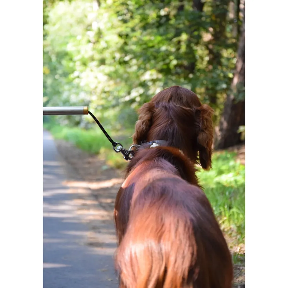 Dobar Walky Dog Plus Fahrradleine