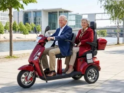 ECONELO E-Seniorenmobil Billy 2.0, Blei-Akku, 3-Rad, 60V, 1000 Watt, groß Sitz, Rot