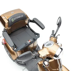 Econelo E-Seniorenmobil Voltrixx, Lithium-Akku, 4-Rad, 1000 Watt, Braun