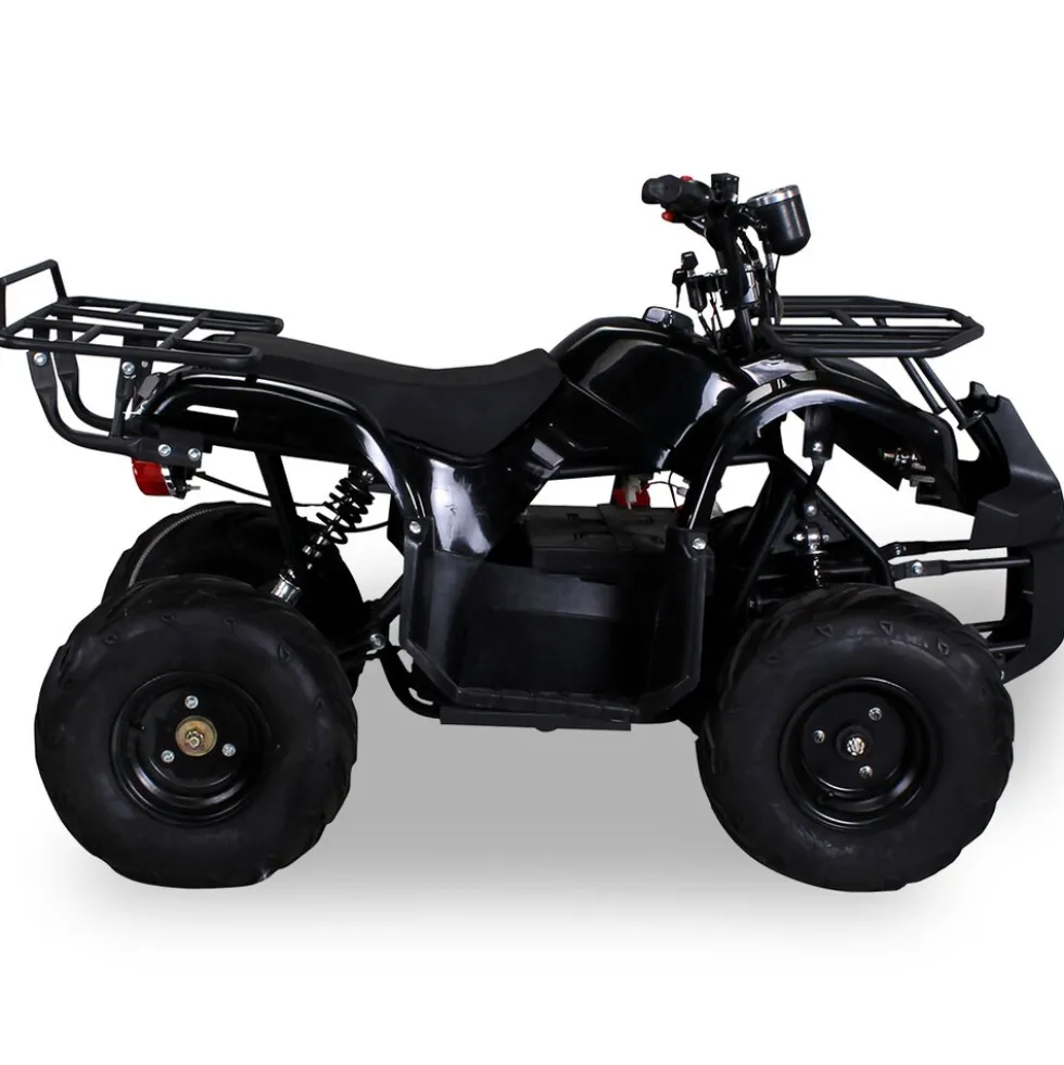 Elektro-Kinderquad S-8 Farmer, Midi-Quad mit 1000 Watt, Scheiben-/Trommelbremsen, bis 20 km/h, ab 8 (Schwarz)