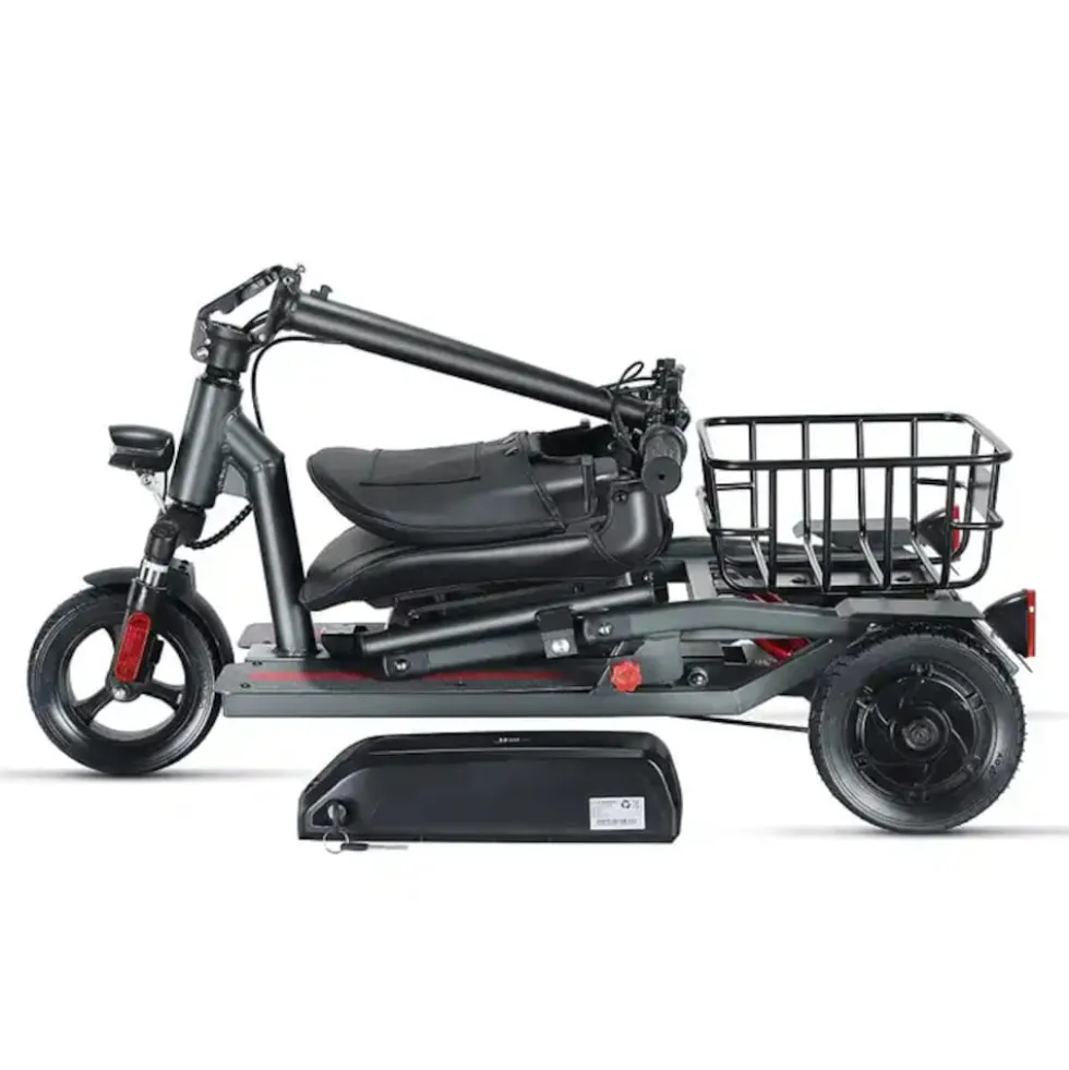 ENEWAY Muvy 3-Rad EMobil 6 km/h Elektromobil mit Lithium-Akku