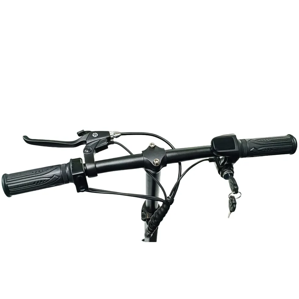 ENEWAY Muvy 3-Rad EMobil 6 km/h Elektromobil mit Lithium-Akku