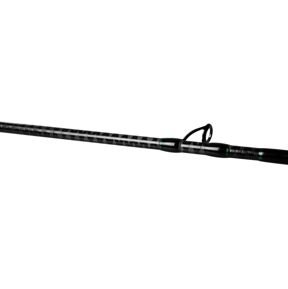 FTM Greenlight 2,40m 20-100g Aalrute