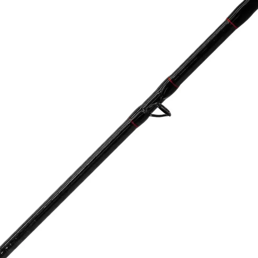 FTM Redlight 3,30m 80-200g Aalrute