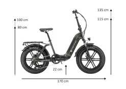 GreenStreet E-Bike Tiefeinsteiger Klapprad GS5 250 W 20 Zoll anthrazit