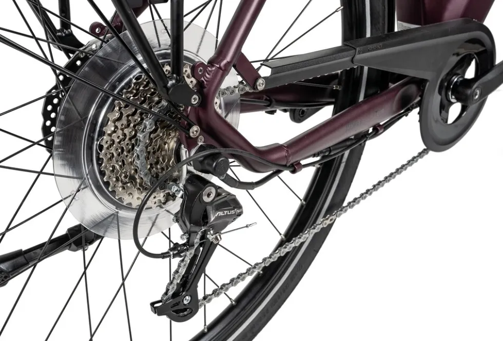 Hawk E-Trekking Lady E-Trekkingrad Damen 28 Zoll 50 cm Wave - Bordeaux