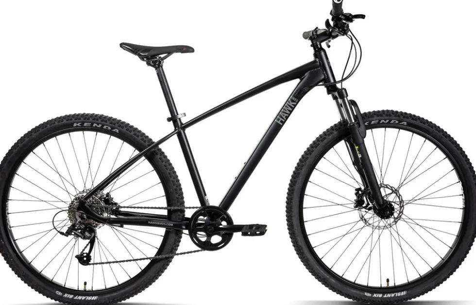 Hawk Trail One MTB Herren 29 Zoll 43 cm Diamant - Anthrazit
