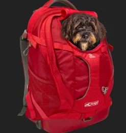 Kurgo G-Train Hunderucksack, Schwarz