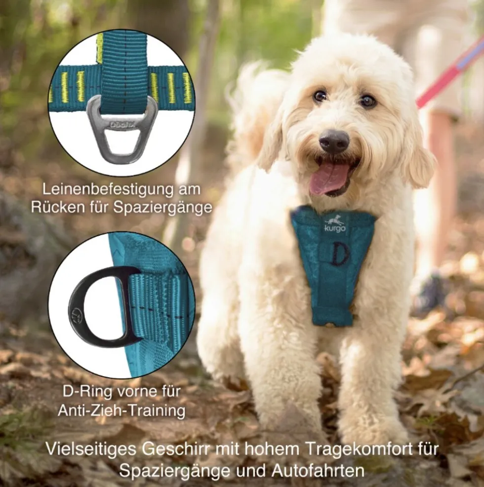 Kurgo Tru-Fit Autosicherheitsgeschirr für Hunde, Größe XS, Tintenblau