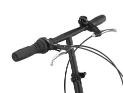 Licorne Bike Conseres Premium Falt Bike in 20 Zoll - Fahrrad für Herren, Jungen, Mädchen und Damen - Shimano 6 Gang-Schaltung - Hollandfahrrad Zoll:20;Farbe:Schwarz