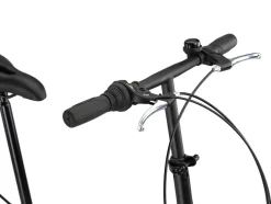 Licorne Bike Conseres Premium Falt Bike in 20 Zoll - Fahrrad für Herren, Jungen, Mädchen und Damen - Shimano 6 Gang-Schaltung - Hollandfahrrad Zoll:20;Farbe:Weiß/Schwarz