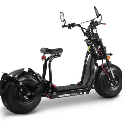 Maximus, E-Cruiser 45 - 45 km/h, 60V-25,6 Ah Lithium Akku, 2x1500 Watt
