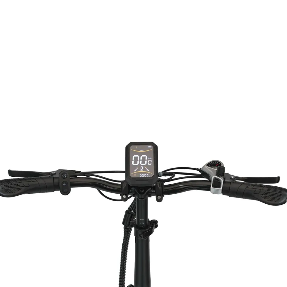 Maxtron Polaris, Falt-E-Bike, Off-road E-Bike, 20" Zoll, dunkelgrau