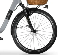 MBM Elektro-Citybike RHEA 24 Zoll, grey