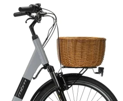MBM Elektro-Citybike RHEA 28 Zoll, grey
