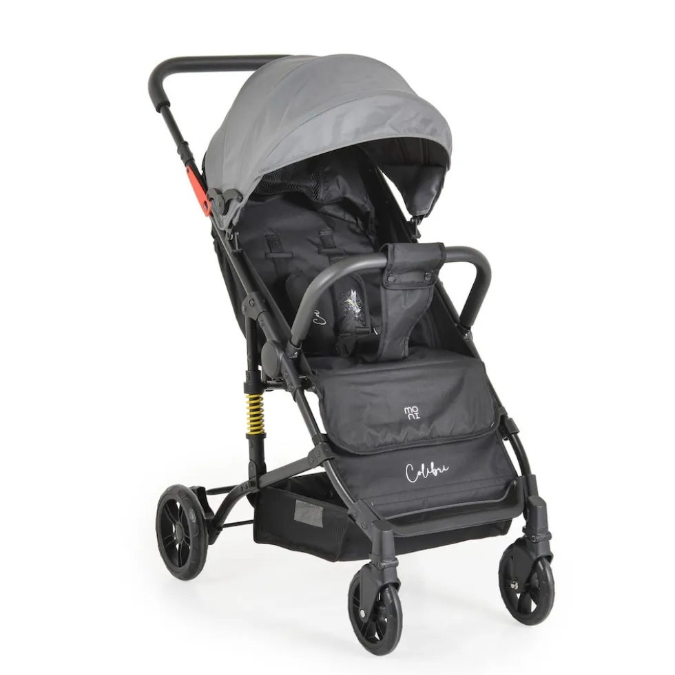 Moni Kinderwagen Buggy Colibri, faltbar, verstellbar, 5-Punkt-Gurt, ab 6 Monaten grau