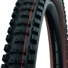 MTB- Fahrradreifen BIG BETTY - ADDIX Soft Evolution Line 29x2.4"62-622