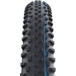 MTB-Fahrradreifen RACING RAY - ADDIX Speed Evolution Line 29x2.10" 54-622