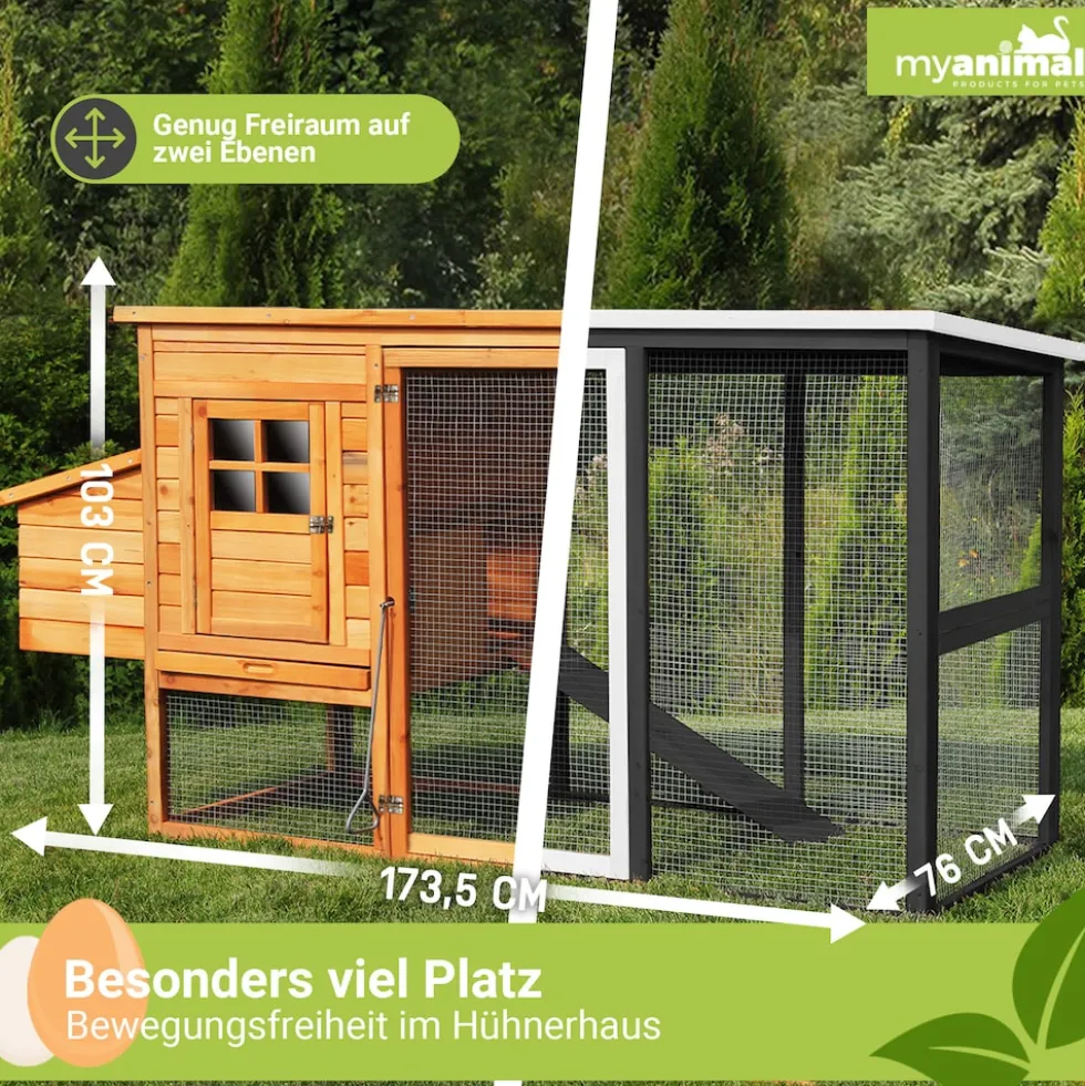 MyAnimal Hühnerstall für 4 Hühner MH-04 mit Eiablage, wasserabweisendes Dach, schutzimprägniert (Grau)