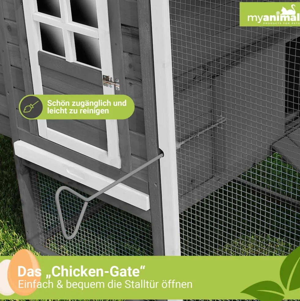 MyAnimal Hühnerstall für 4 Hühner MH-04 mit Eiablage, wasserabweisendes Dach, schutzimprägniert (Grau)