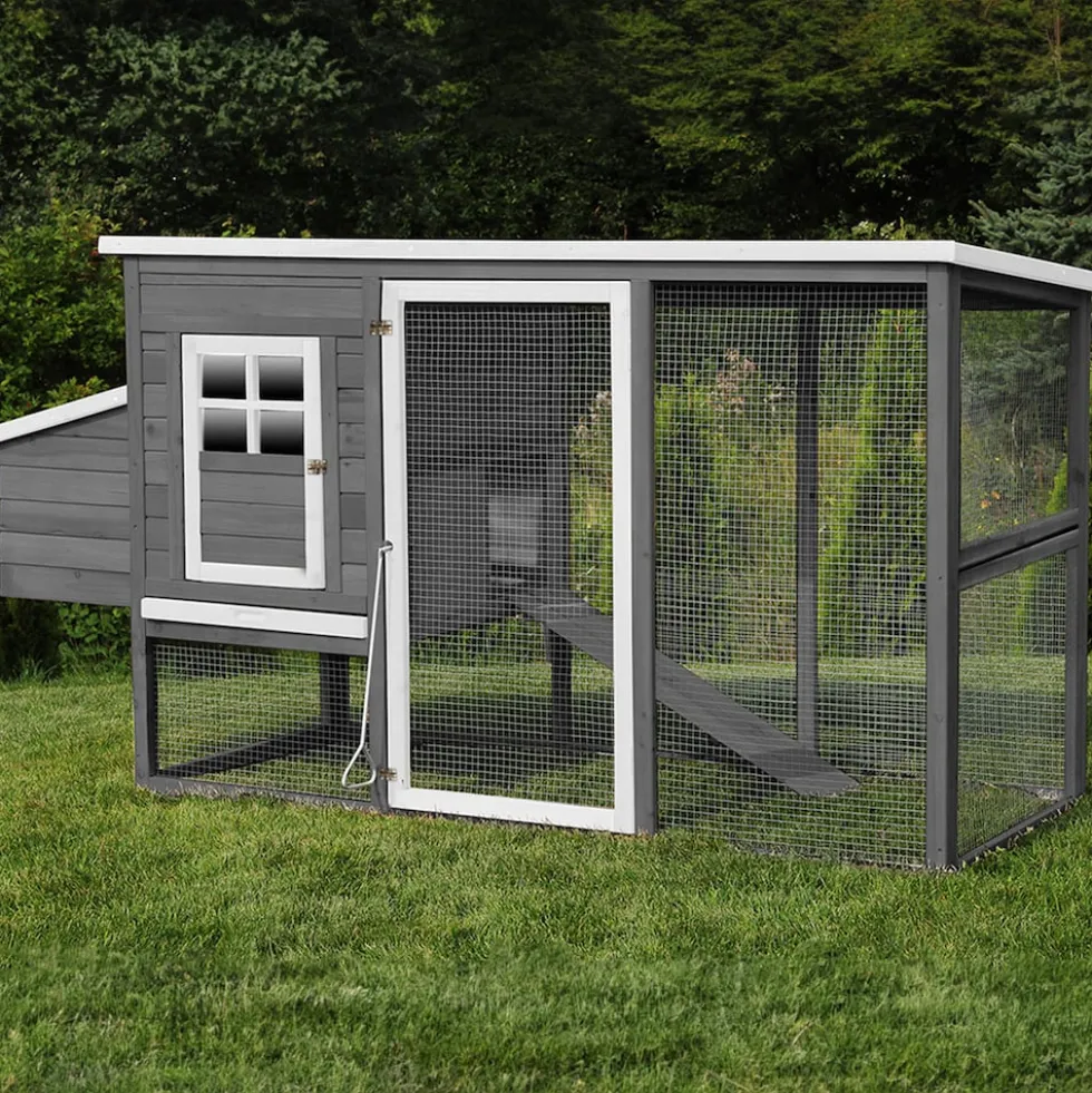 MyAnimal Hühnerstall für 4 Hühner MH-04 mit Eiablage, wasserabweisendes Dach, schutzimprägniert (Grau)