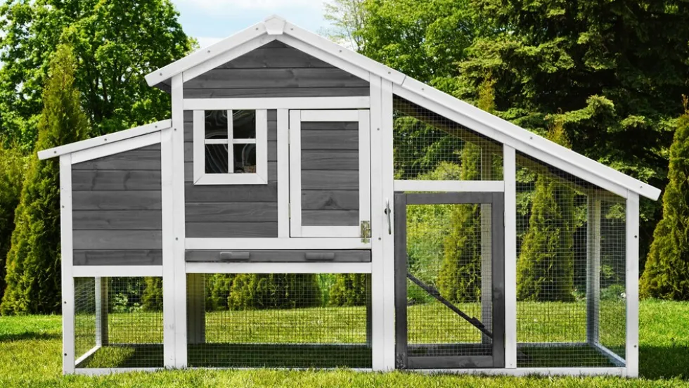 MyAnimal Hühnerstall für 4 Hühner MH-32 mit Eiablage, Hühnerhaus schutzimprägniert, Dach abnehmbar (Grau 2.0)