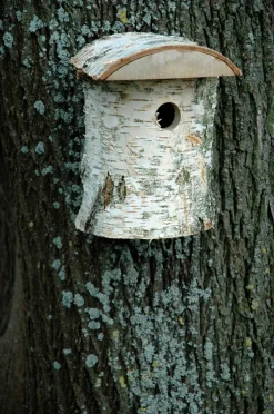 Naturbelassener Birkenholz-Nistkasten, Nisthilfe für Wildvögel, Loch Ø 32 mm, 14 x 14 x 22 cm, Birke