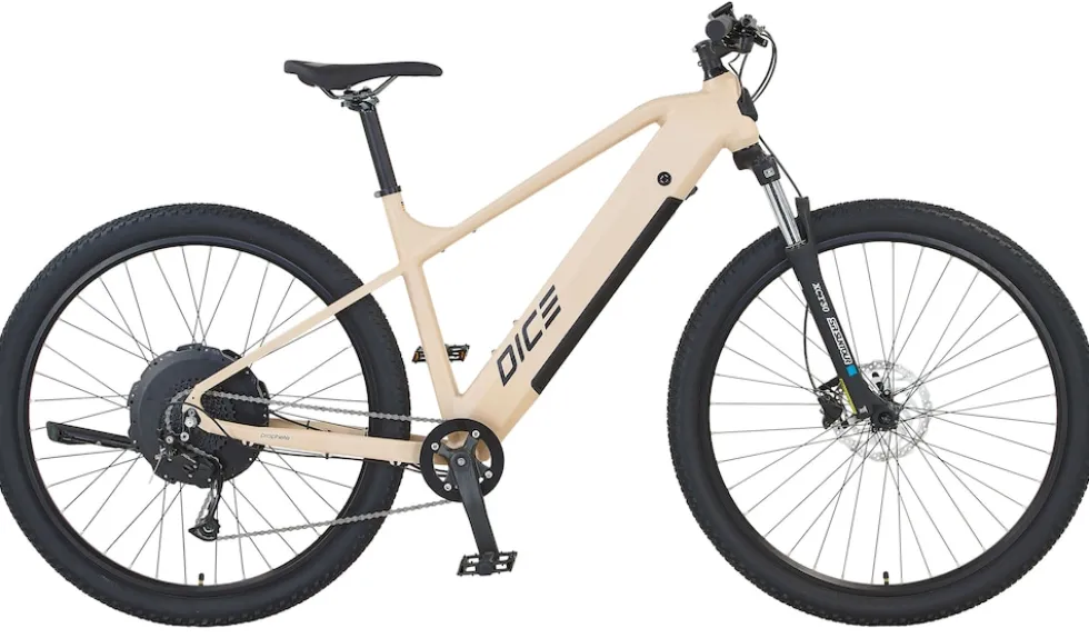 Prophete Dice 2.0 E-MTB E-Bike 29"