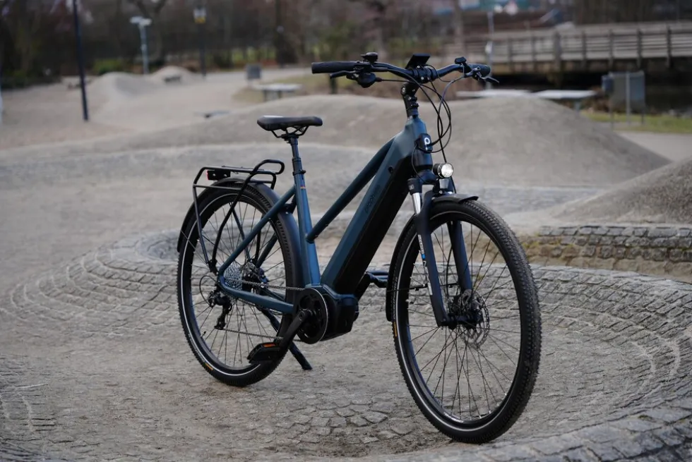 Prophete E-Bike Entdecker 4.8 RH50